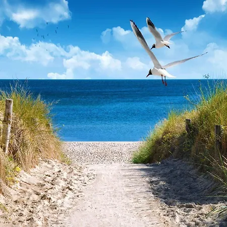 Charming Seaside Haven Oasis Fuer 6 * Großenbrode